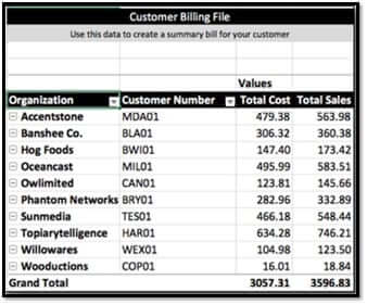Customer billing file opt