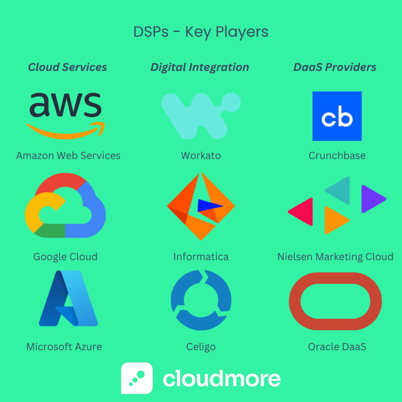 Key DSP Players (2)