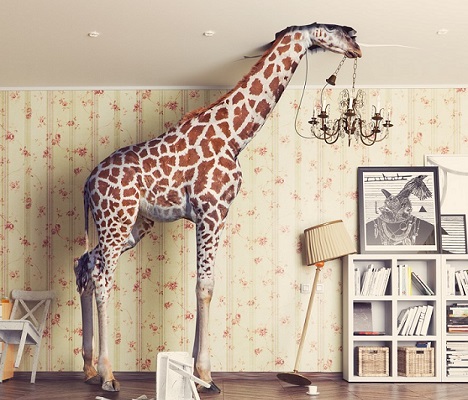 6x4 giraffe ceiling