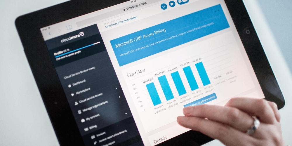 Microsoft Perpetual License Price Management 